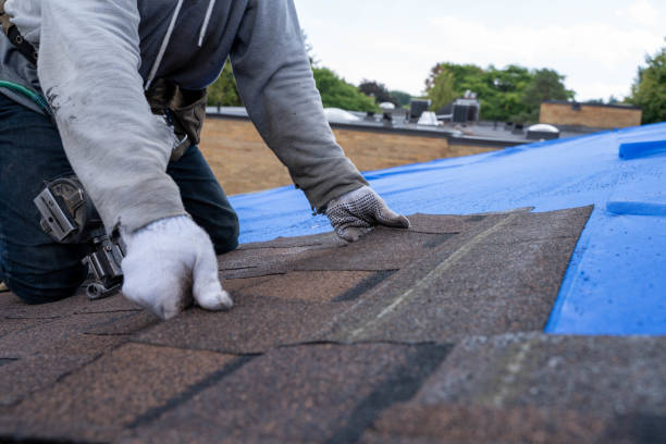 Roof Gutter Cleaning in Creighton, NE